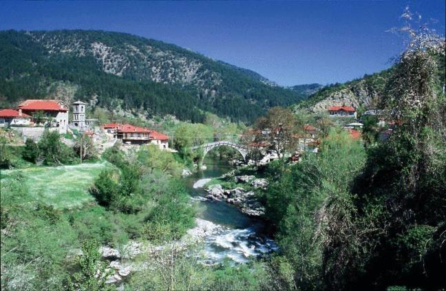 Kerasies Guesthouse Vovousa Bagian luar foto
